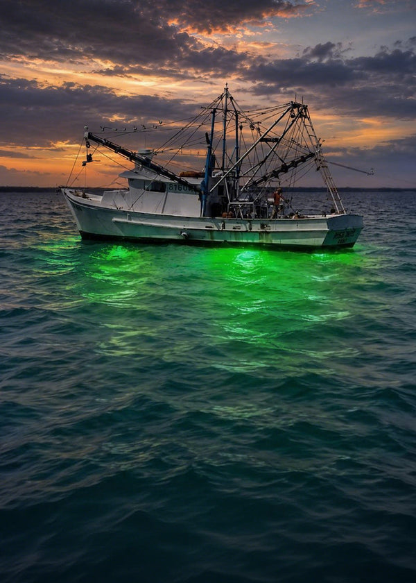 Para la pesca comercial