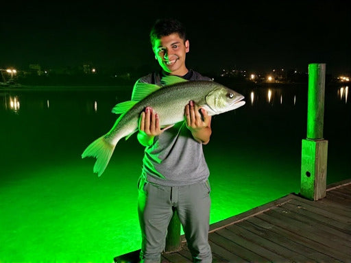 Frequent Anglers